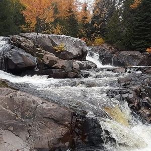 Meet your Posher, Rochelle